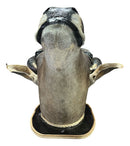 Decoração De Parede Cabeça De Boi Nelore Empalhada