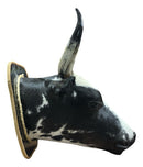 Decoração De Parede Cabeça De Boi Nelore Country Empalhada