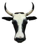 Decoração De Parede Cabeça De Boi Nelore Country Empalhada