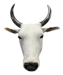 Decoração De Parede Cabeça De Boi Nelore Empalhada Country
