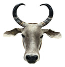 Decoração Country De Parede Cabeça De Boi Nelore Empalhada