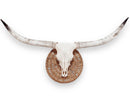 Crânio Real de Touro - Chifre LongHorn
