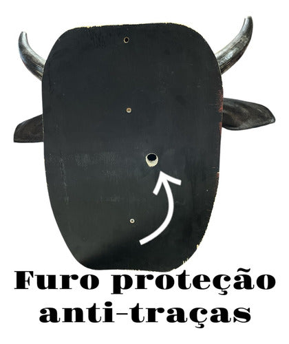 Decoração Country De Parede Cabeça De Boi Nelore Empalhada