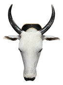 Decoração De Parede Cabeça De Boi Nelore Empalhada Country